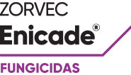 Zorvec enicade logo